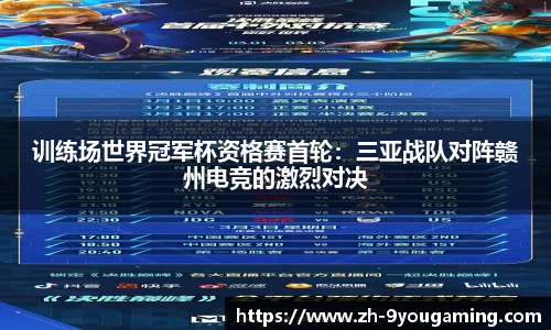 九游娱乐公司